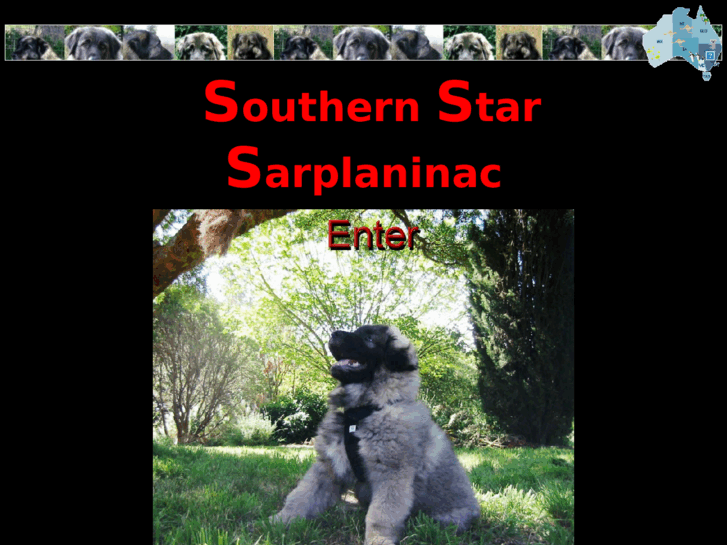 www.southernstarsarp.com