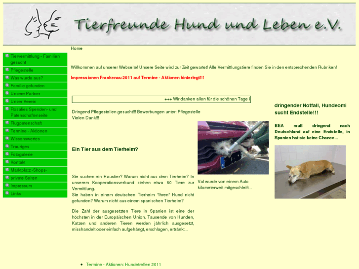 www.tierheim-hund.de