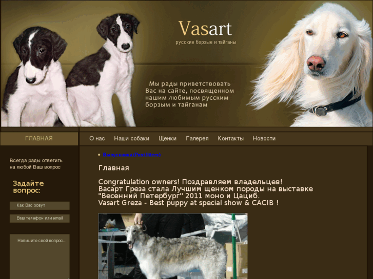 www.vasartborzoi.com