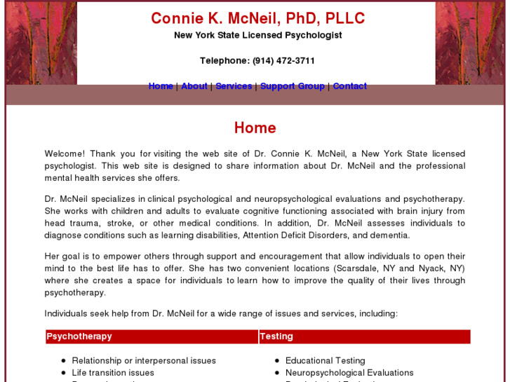 www.conniemcneilphd.com