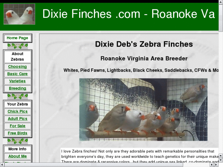 www.dixiefinches.com