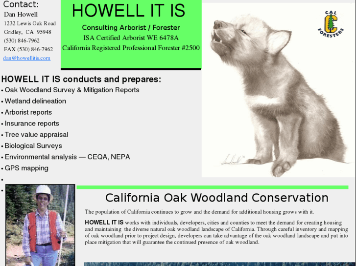 www.howellitis.com