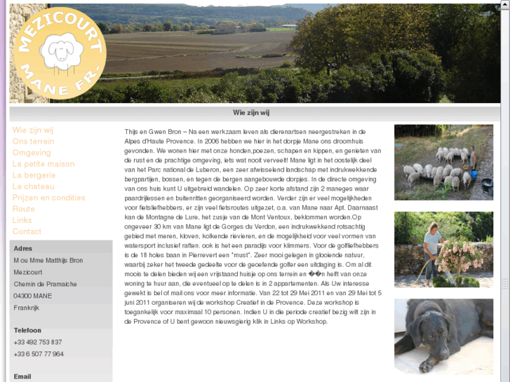www.mezicourt.com