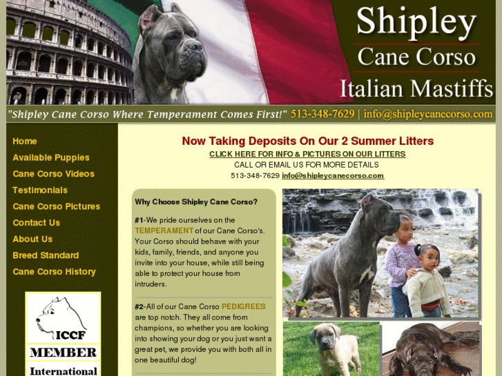 www.shipleycanecorso.com