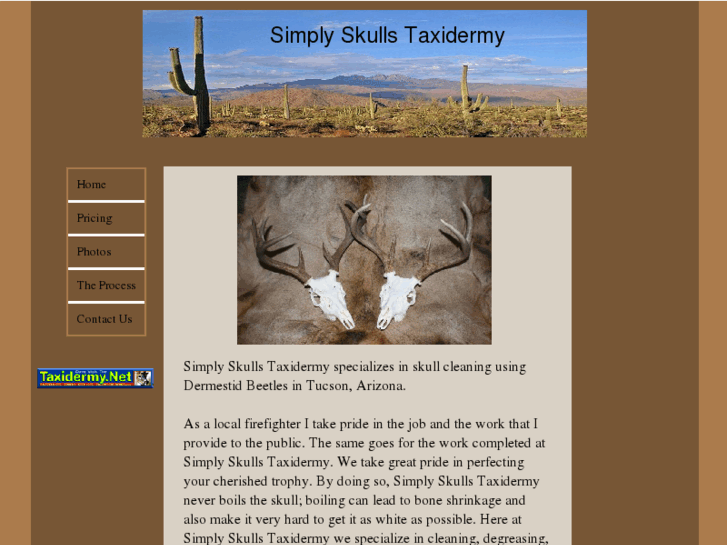 www.simplyskullstaxidermy.com