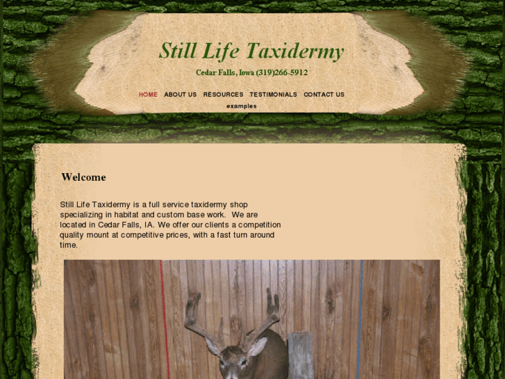 www.stilllifetaxidermyia.com