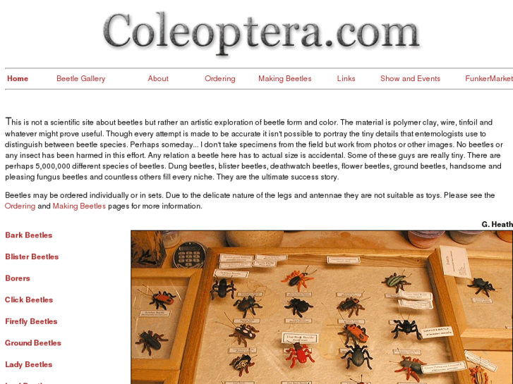 www.coleoptera.com