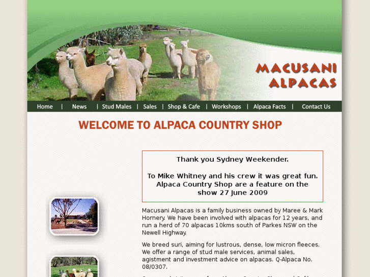 www.macusanialpacas.com