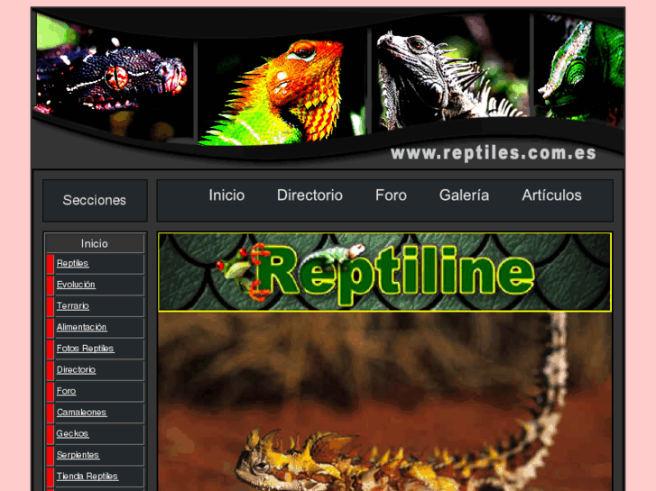 www.reptiles.com.es