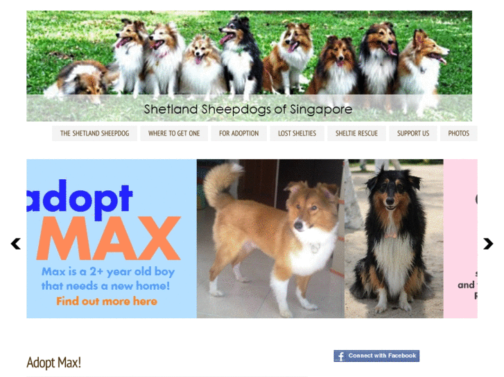 www.sgshelties.com