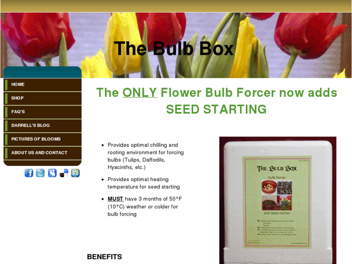 www.thebulbbox.com