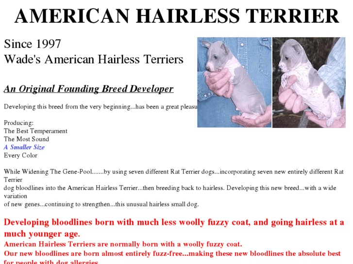 www.americanhairlessterriers.com