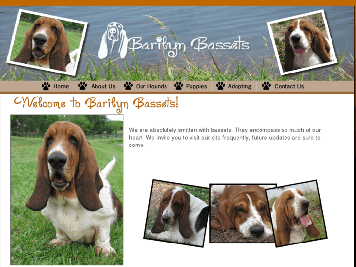 www.barilynbassets.com