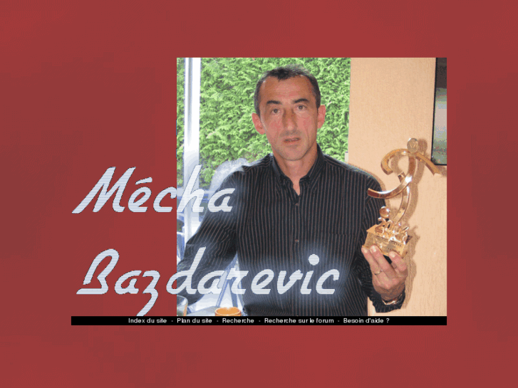 www.bazdarevic.net