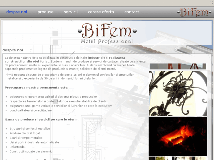 www.bifem.ro