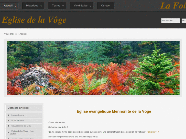 www.eglisedelavoge.com