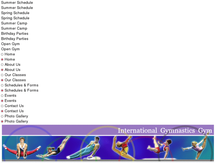 www.internationalgymnasticsgym.com