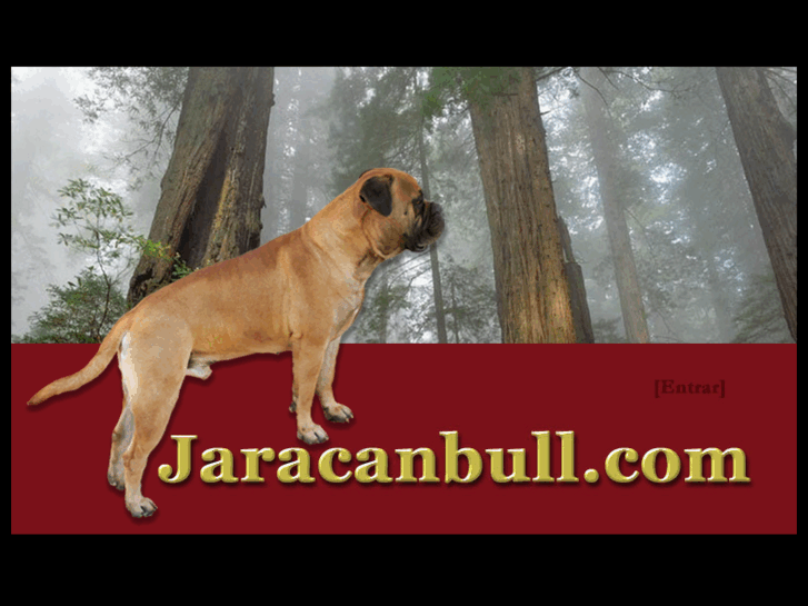 www.jaracanbull.com