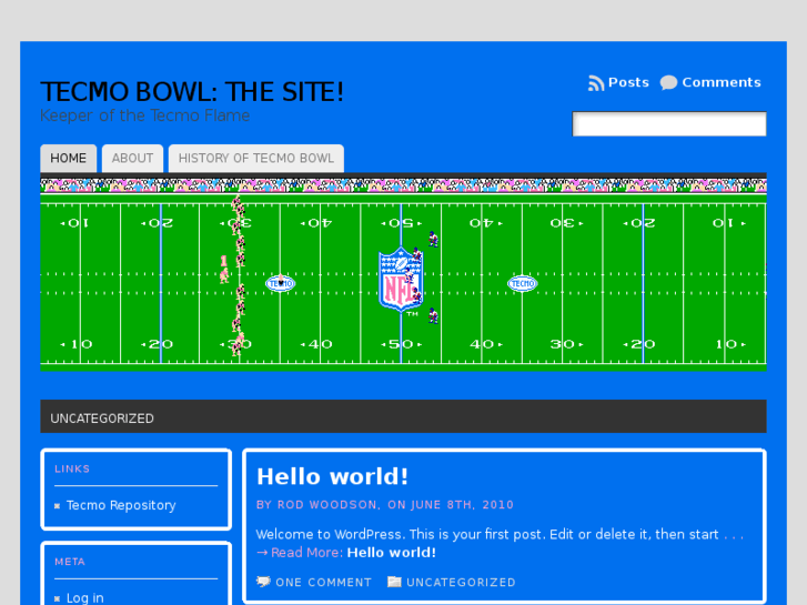 www.tecmosuperbowl.org