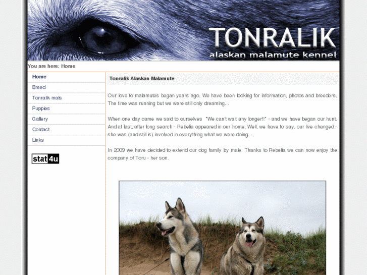 www.tonralik.com