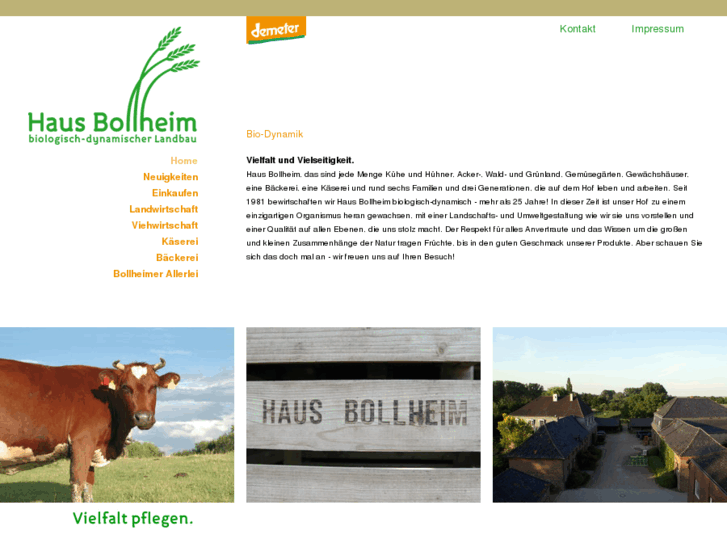 www.bollheim.de