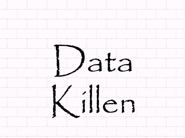 www.datakillen.net