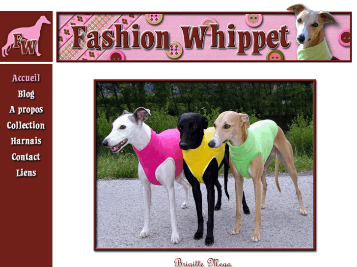 www.fashion-whippet.net