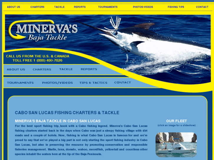 www.minervas.com