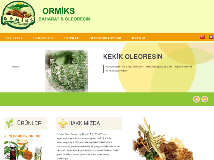 www.ormiks.com