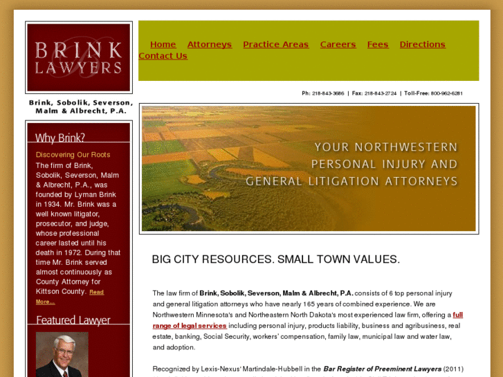 www.brinklawyers.com