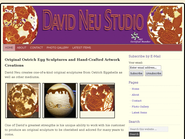 www.davidneustudio.com