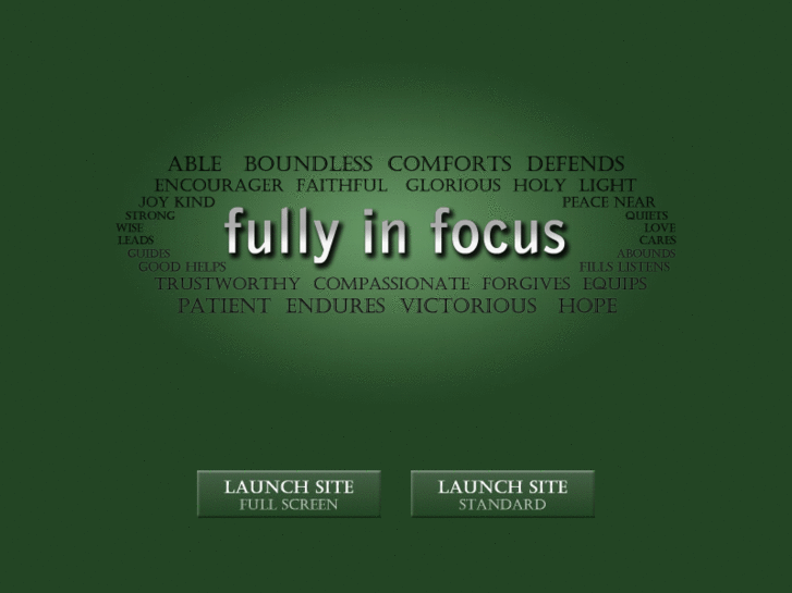 www.fullyinfocus.com