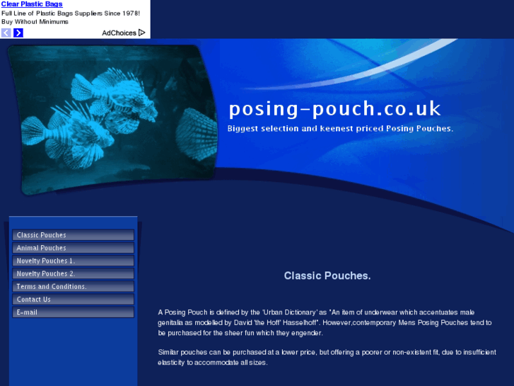 www.posing-pouch.co.uk