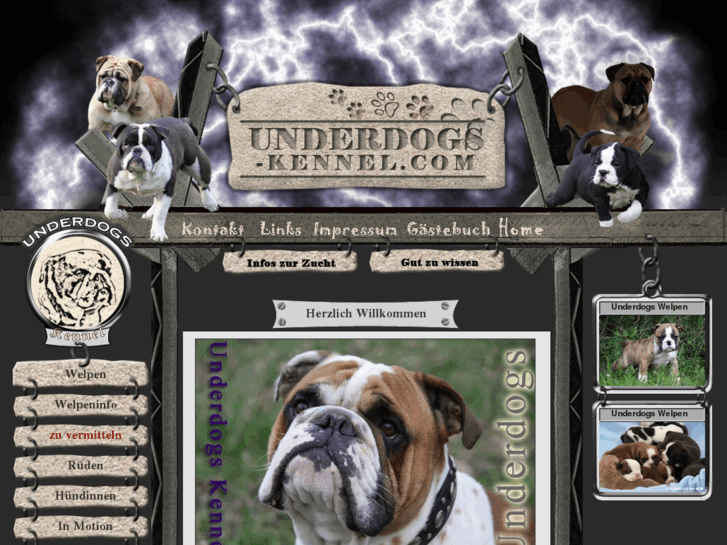 www.underdogs-kennel.com