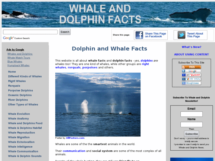 www.whale-and-dolphin-facts.com