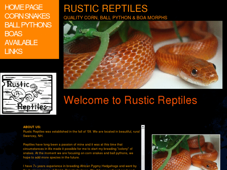 www.rusticreptiles.com