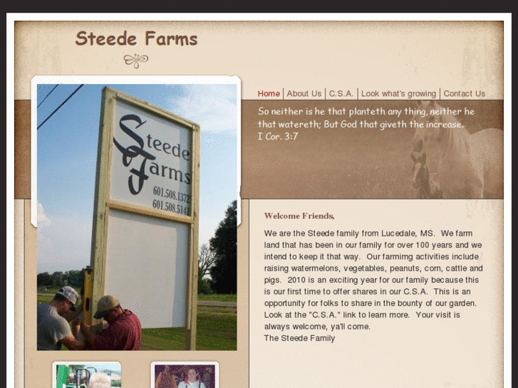 www.steedefarms.com
