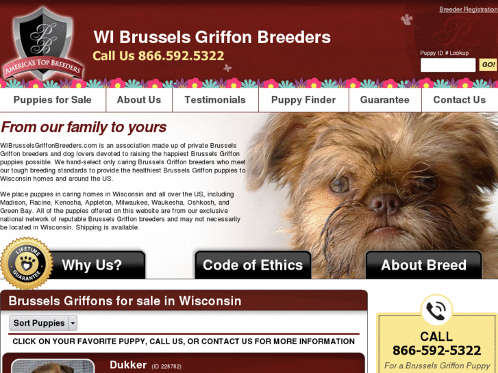 www.wibrusselsgriffonbreeders.com