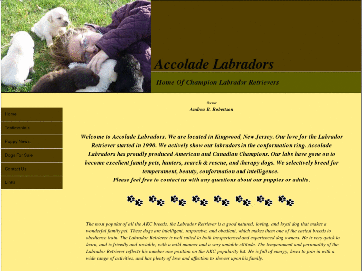 www.accoladelabradors.com