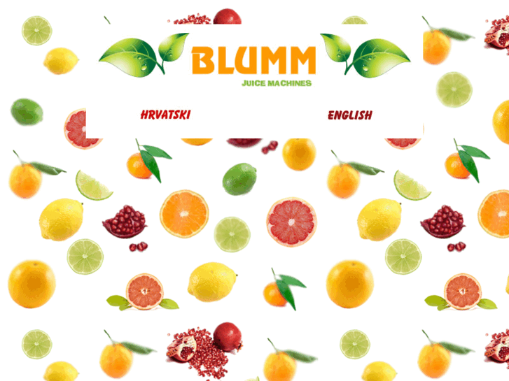 www.blumm-juicers.com