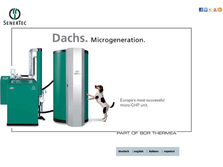 www.dachs-hka.com