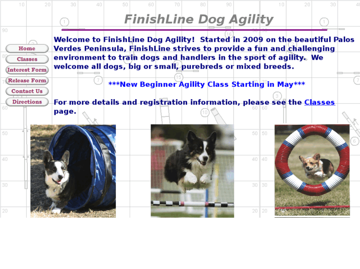 www.finishlineagility.com