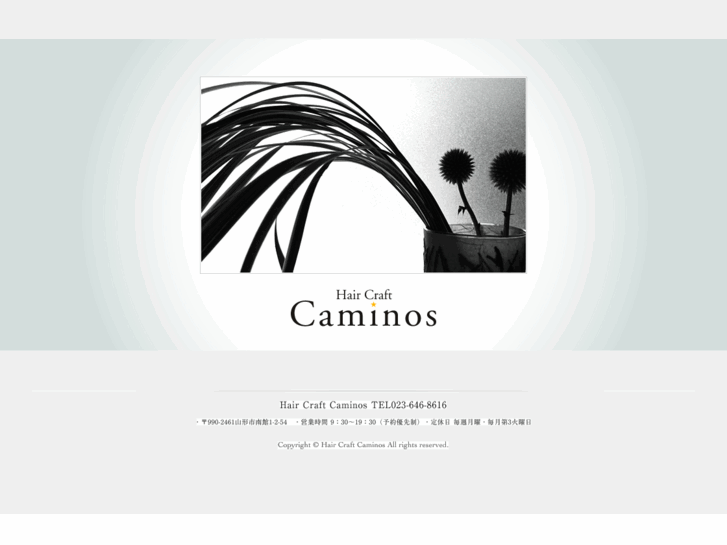 www.hc-caminos.com