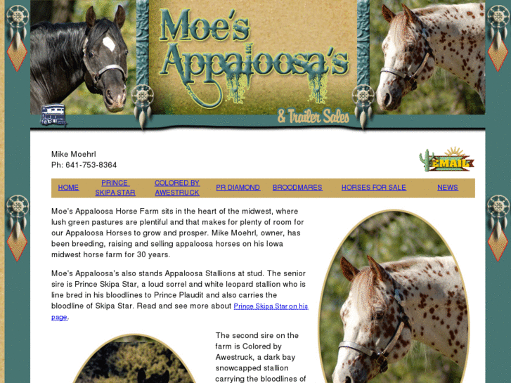 www.moesappaloosas.com