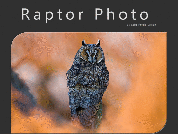 www.raptorphoto.com