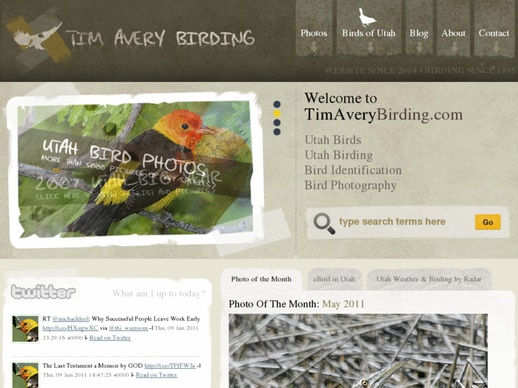 www.timaverybirding.com