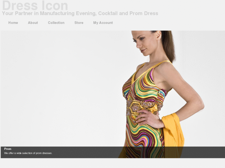 www.dressicon.com