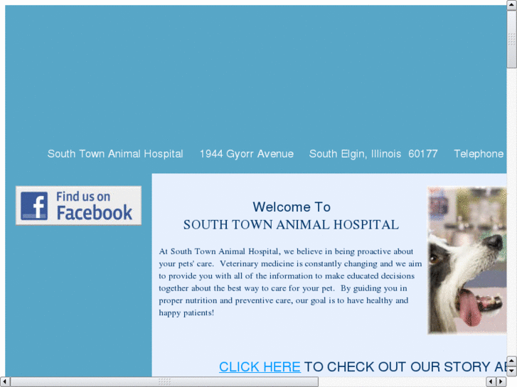 www.southtownanimalhospital.com