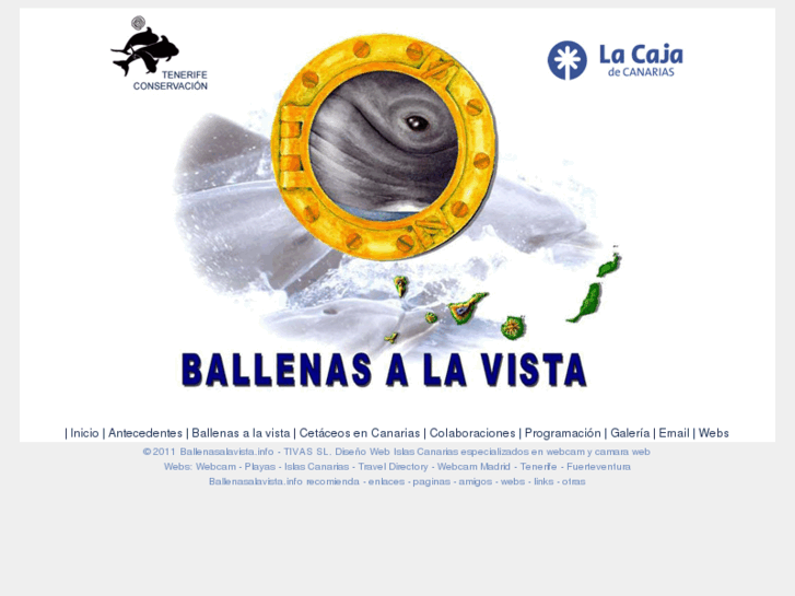 www.ballenasalavista.info