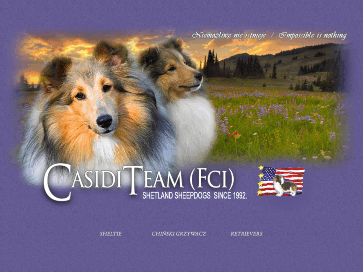 www.casiditeam.com